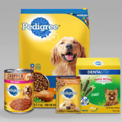 Dogs Products